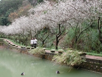 Huataoyao Botanical Garden
